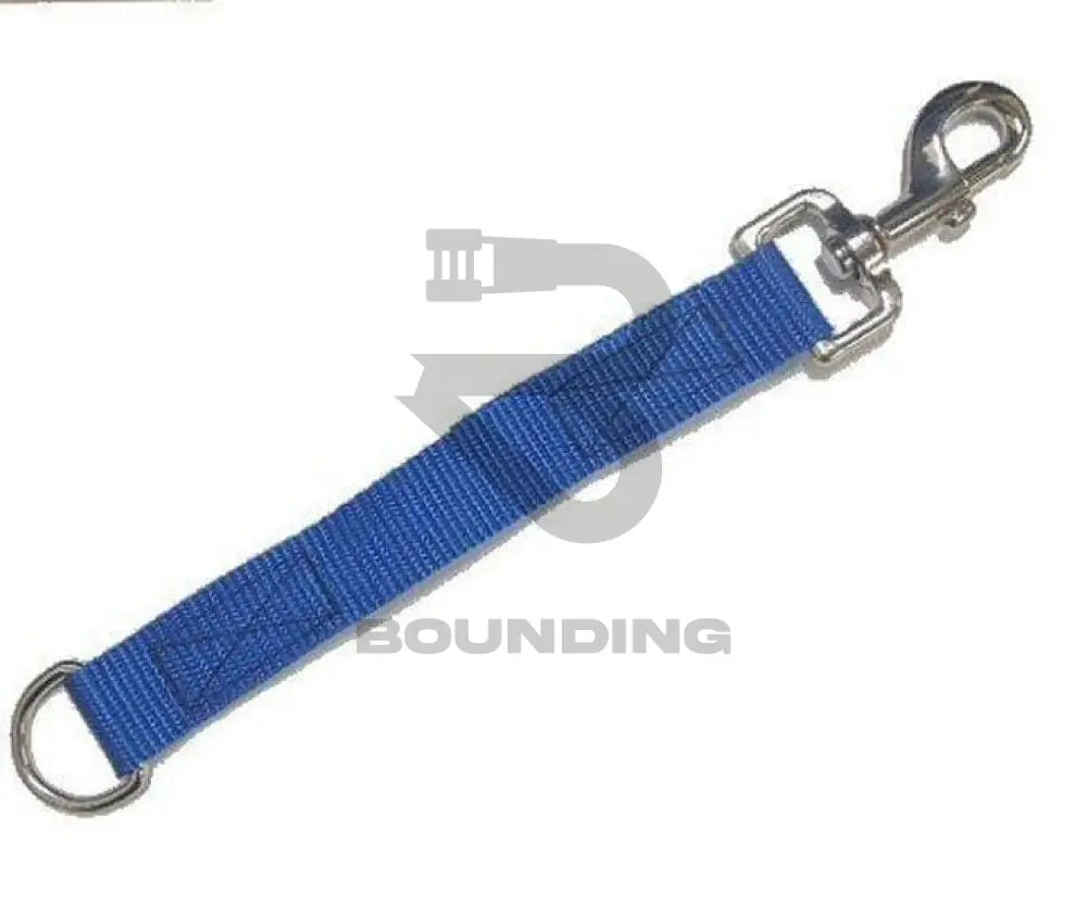 Dog Extension Lead 8 - 10 Leash 25Mm Light Blue Pet Supplies:dog Supplies:leads & Head Collars