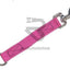 Dog Extension Lead 8 - 10 Leash 25Mm Pet Supplies:dog Supplies:leads & Head Collars