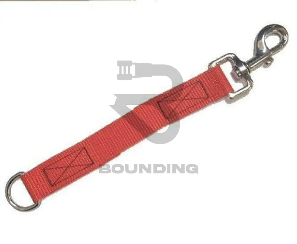 Dog Extension Lead 8 - 10 Leash 25Mm Red Pet Supplies:dog Supplies:leads & Head Collars