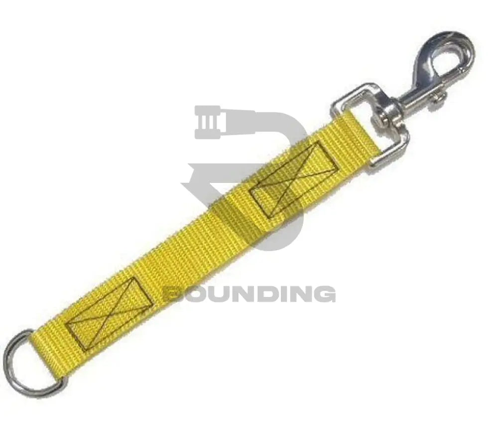 Dog Extension Lead 8 - 10 Leash 25Mm Yellow Pet Supplies:dog Supplies:leads & Head Collars