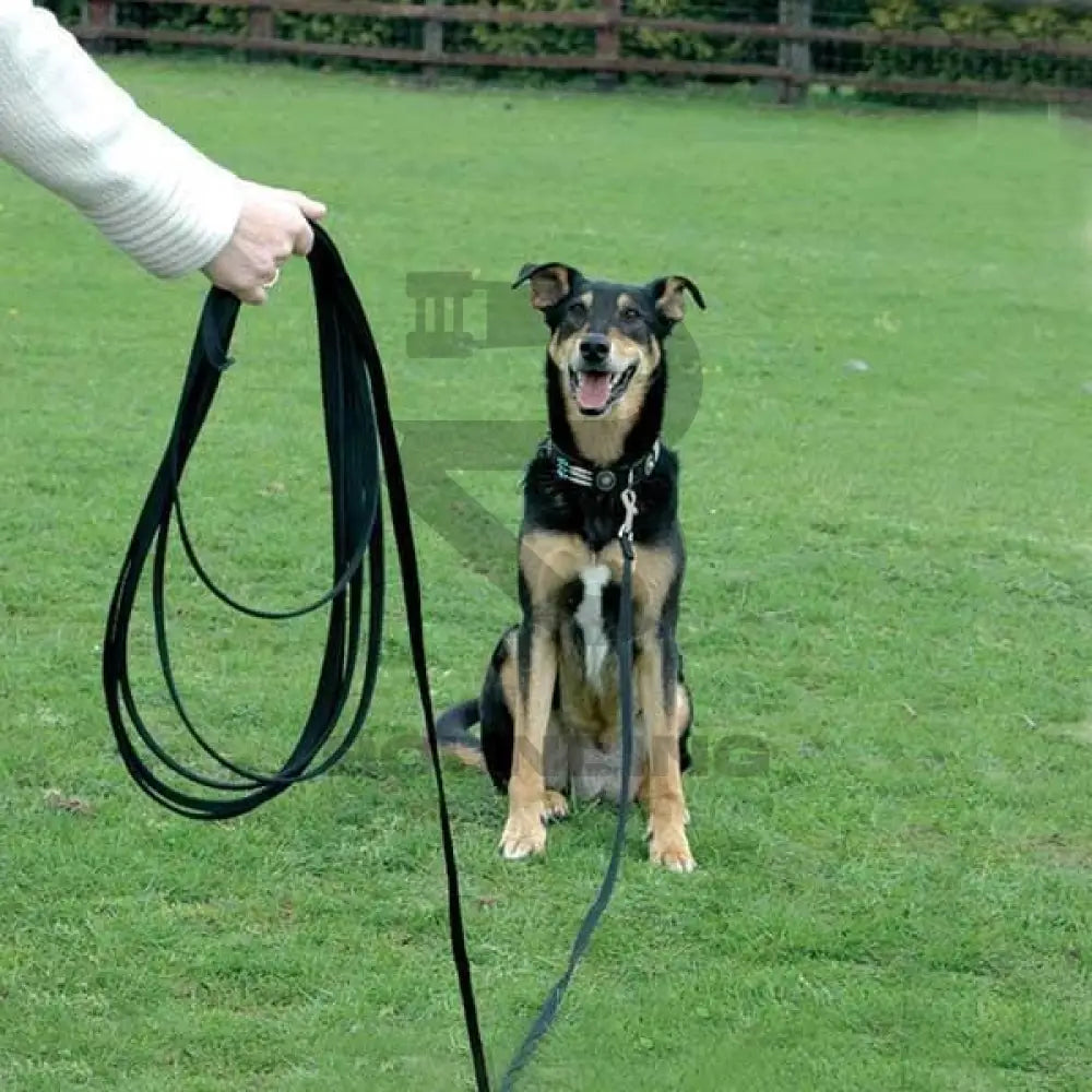 Dog / Horse Training Lead Made In Uk Pet Supplies:dog Supplies:leads & Head Collars