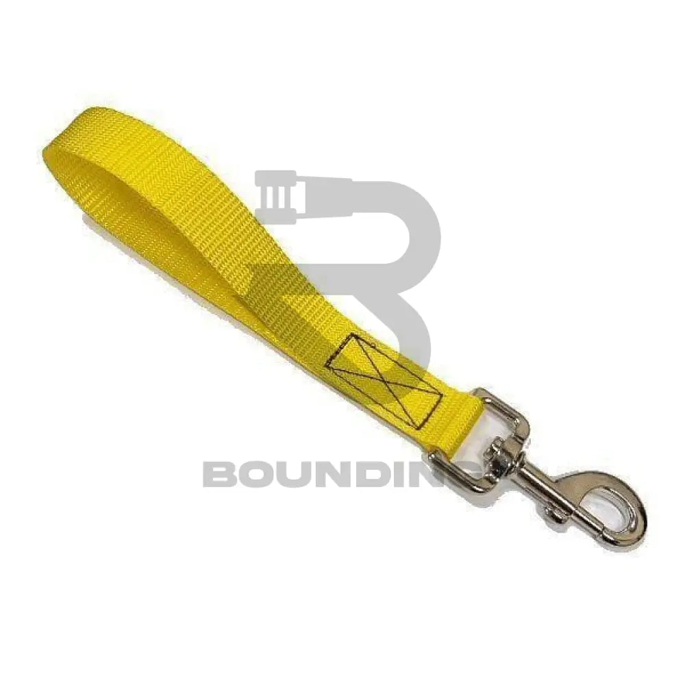 Dog Training Grab Handle 25Mm Pet Supplies:dog Supplies:leads & Head Collars